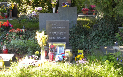 dscn9289.jpg