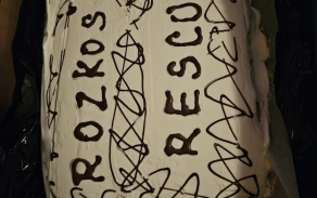 342842141_262388279477696_1272118213197224684_n.jpg