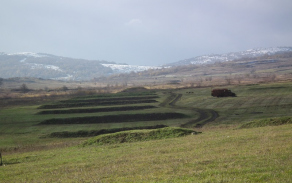 dscf6434.jpg