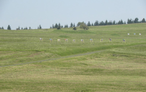 dscn0618.jpg