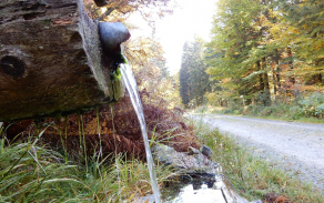 dscn0761.jpg