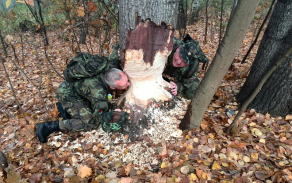 Někteří se během přesunu pokusili o nový světový rekord.